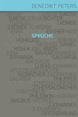 Kommentar zum Buch Sprüche