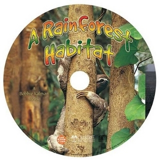 A Rainforest Habitat