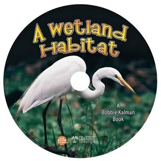 A Wetland Habitat
