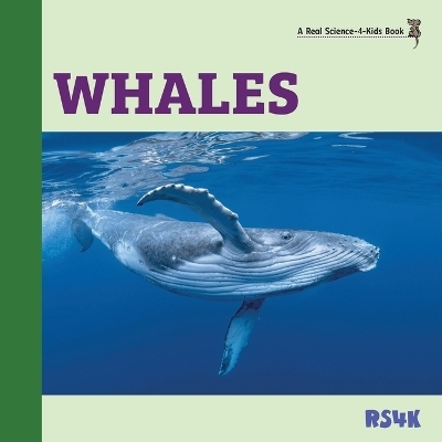 Whales - Rebecca Woodbury M Ed