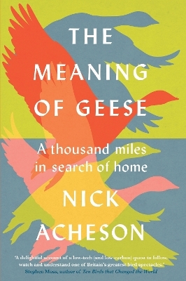 The Meaning of Geese - Nick Acheson