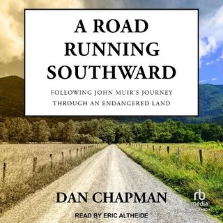 A Road Running Southward