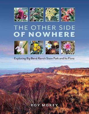 The Other Side of Nowhere - Roy Morey