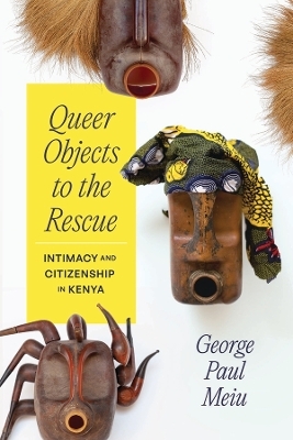 Queer Objects to the Rescue - George Paul Meiu