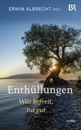 Enth&uuml;llungen - 