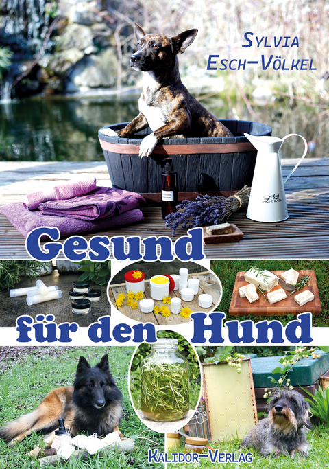 Gesund f&uuml;r den Hund - Sylvia Esch-V&ouml;lkel