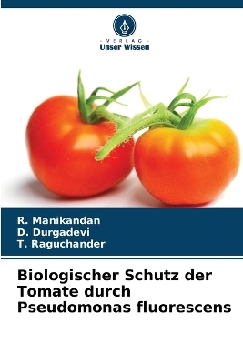 Biologischer Schutz der Tomate durch Pseudomonas fluorescens