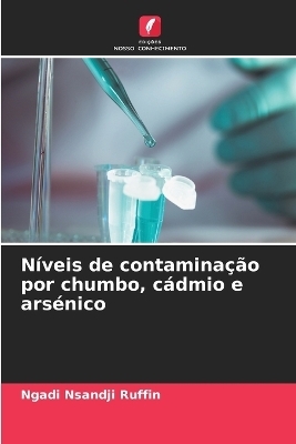 N&iacute;veis de contamina&ccedil;&atilde;o por chumbo, c&aacute;dmio e ars&eacute;nico - Ngadi Nsandji Ruffin