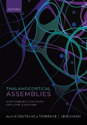 Thalamocortical Assemblies