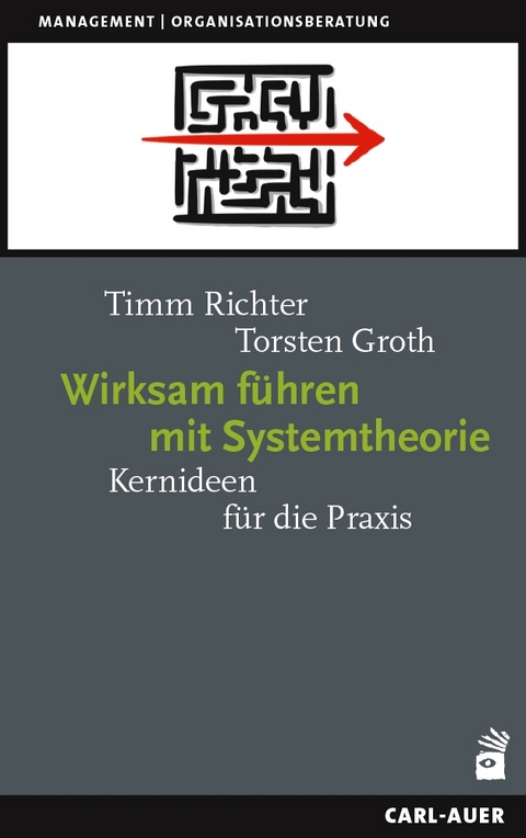 Wirksam f&uuml;hren mit Systemtheorie - Timm Richter, Torsten Groth