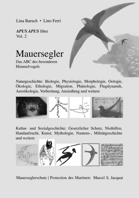 APUS APUS liber, vol. 2. Mauersegler - . Lina Baruch ◦ Lino Ferri