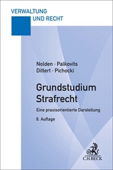 Grundstudium Strafrecht - Waltraud Nolden, Frank Palkovits, Susanne Dittert