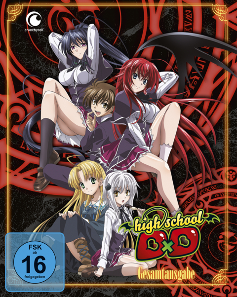 Highschool DxD - Staffel 1 - Gesamtausgabe - DVD Box (2 DVDs) - Tetsuya Yanagisawa