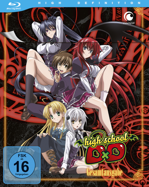 Highschool DxD - Staffel 1 - Gesamtausgabe - Blu-ray Box (2 Blu-rays) - Tetsuya Yanagisawa