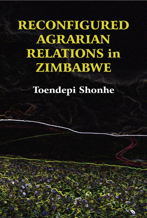 Reconfigured Agrarian Relations in Zimba - Toendepi Shonhe