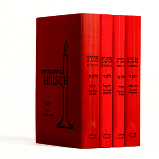 Nevi'im Achronim Set