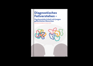 Diagnostisches Fallverstehen
