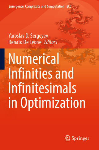 Numerical Infinities and Infinitesimals in Optimization