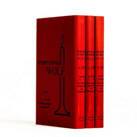 Nevi'im Rischonim Set - 