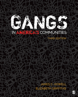 Gangs in America′s Communities - James C. Howell, Elizabeth A. Griffiths
