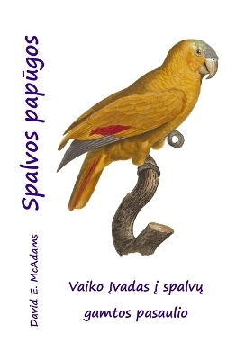 Spalvos papūgos