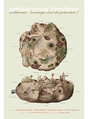 Ambiguous Territory - 