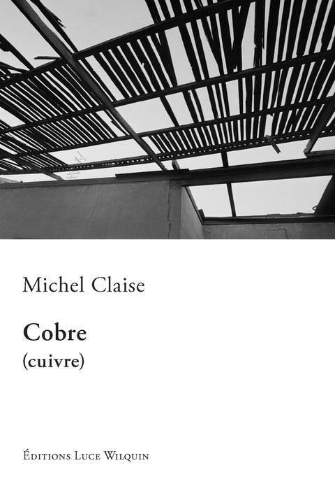 Cobre (cuivre) -  Michel Claise