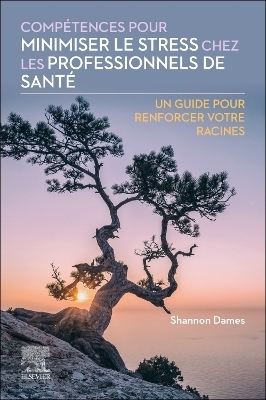 Comp&eacute;tences pour minimiser le stress chez les professionnels de sant&eacute; - Shannon Dames