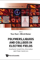 Polymers, Liquids And Colloids In Electric Fields: Interfacial Instabilites, Orientation And Phase Transitions - 