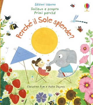 Perché il Sole splende?