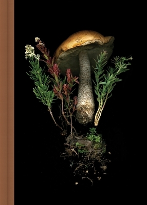 Deep Dark Forest Mushroom Journal - Julya Hajnoczky