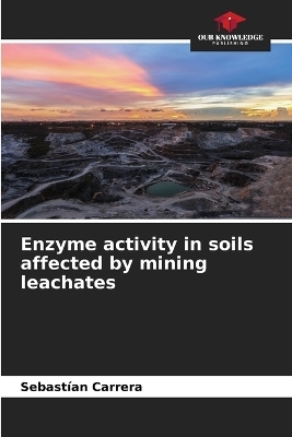 Enzyme activity in soils affected by mining leachates