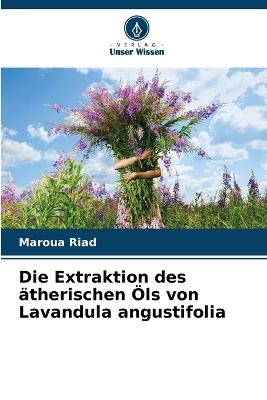 Die Extraktion des ätherischen Öls von Lavandula angustifolia