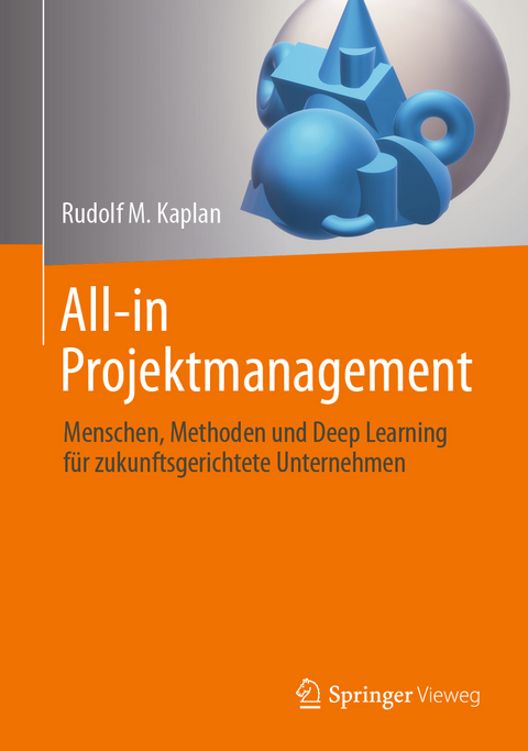 All-in Projektmanagement - Rudolf M. Kaplan