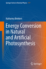 Energy Conversion in Natural and Artificial Photosynthesis - Katharina Brinkert