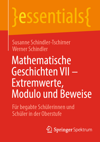 Mathematische Geschichten VII – Extremwerte, Modulo und Beweise
