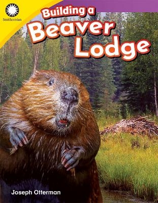 Building a Beaver Lodge - Joseph Otterman