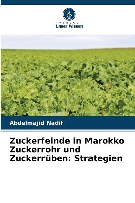 Zuckerfeinde in Marokko Zuckerrohr und Zuckerrüben