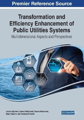 Transformation and Efficiency Enhancement of Public Utilities Systems: Multidimensional Aspects and Perspectives