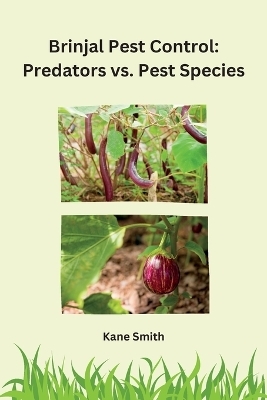 Brinjal Pest Control