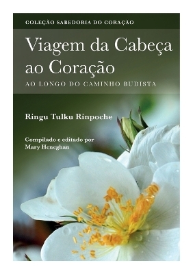 Viagem da Cabe&ccedil; ao Cora&ccedil;&atilde;o - Ringu Tulku