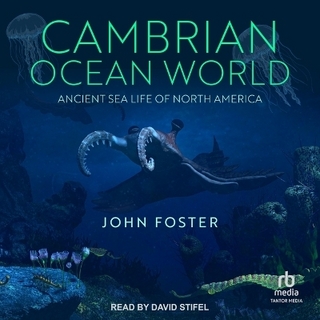Cambrian Ocean World