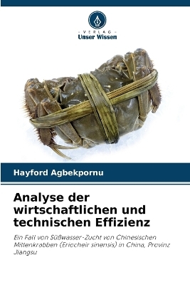 Analyse der wirtschaftlichen und technischen Effizienz - Hayford Agbekpornu, Yuan Xinhua, Zhang Zongli