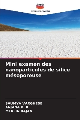 Mini examen des nanoparticules de silice m&eacute;soporeuse - Saumya Varghese, Anjana K R, MERLIN RAJAN
