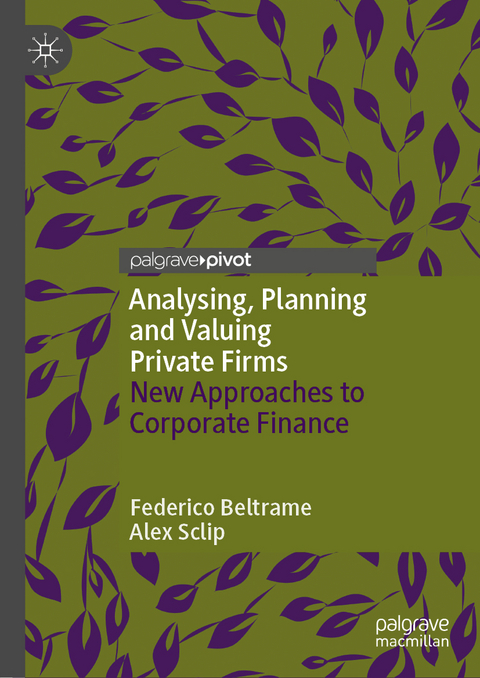 Analysing, Planning and Valuing Private Firms - Federico Beltrame, Alex Sclip