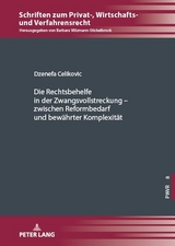 Die Rechtsbehelfe in der Zwangsvollstreckung &ndash; zwischen Reformbedarf und bew&auml;hrter Komplexit&auml;t - Dzenefa Celikovic