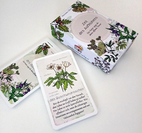 Zeit des Aufbl&uuml;hens - Marianne Gl&ouml;ssl