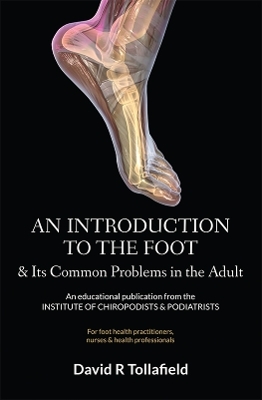An Introduction to the Foot and Its Common Problems in the Adult