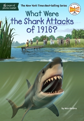 What Were the Shark Attacks of 1916? - Nico Medina