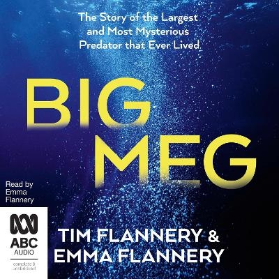 Big Meg - Tim Flannery, Emma Flannery